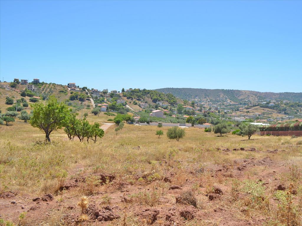  فندق في Koropi, Greece 13500متر مربع رقم 7668