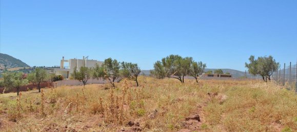 13500m² Hotel in Koropi, Greece No. 7668 3