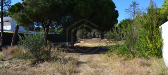 Terreno en Almancil, Portugal 241 m² No. 109116 2