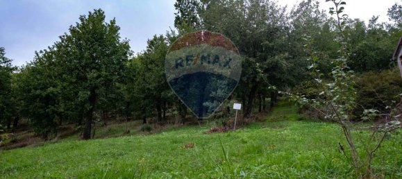 6-Zimmer Haus in Serra San Quirico, Italy, Nr. 6036 51