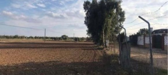  قطعة أرض في Andalusia, Spain 1000متر مربع رقم 183047 2