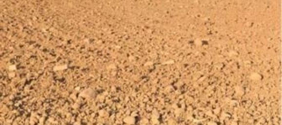  قطعة أرض في Andalusia, Spain 1000متر مربع رقم 183047 4