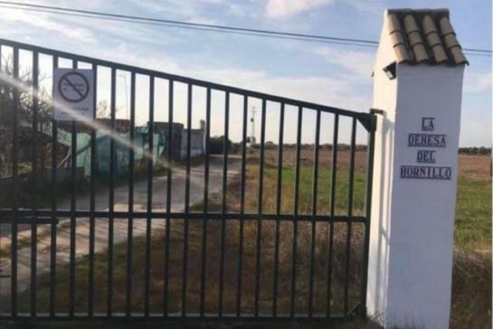  قطعة أرض في Andalusia, Spain 1000متر مربع رقم 183047