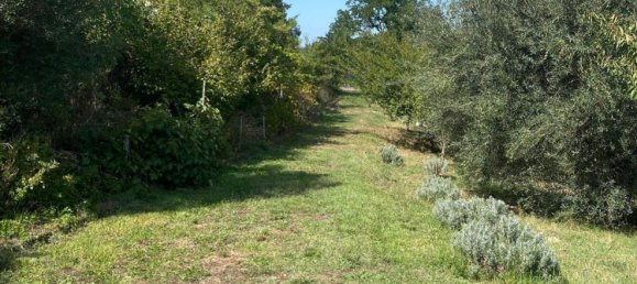 1 bedroom House in Villa San Giovanni in Tuscia, Italy No. 371063 8