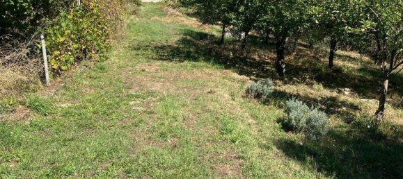 1 bedroom House in Villa San Giovanni in Tuscia, Italy No. 371063 7