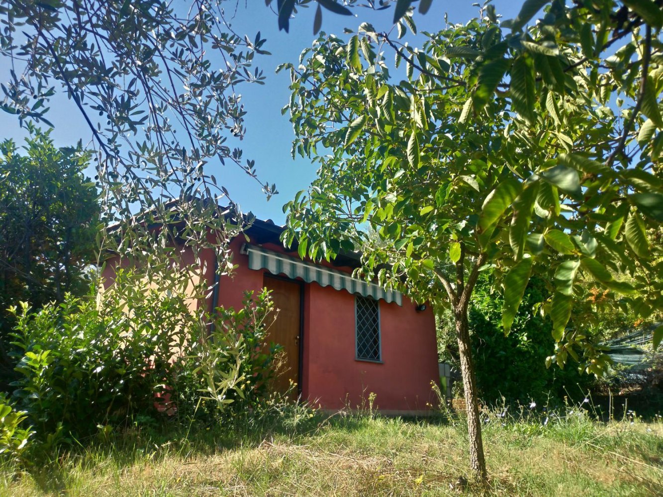 1 bedroom House in Villa San Giovanni in Tuscia, Italy No. 371063