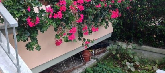 5 rooms House in Massa, Italy No. 155224 22