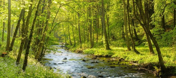 3 bedrooms Apartment in Bayreuth, Germany No. 194127 15