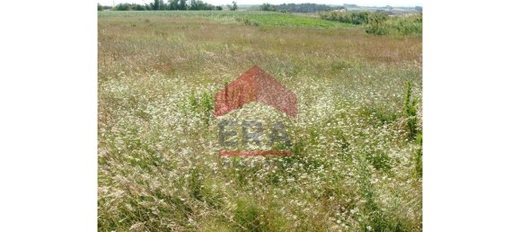 Grundstück in Serra D'El Rei, Portugal 1920m², Nr. 258674 4