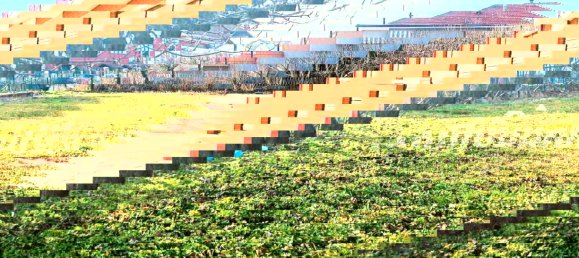 9 bedrooms Villa in Rivalta di Torino, Italy No. 209162 7