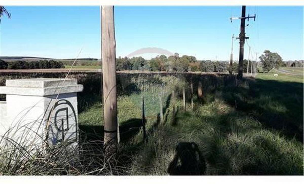  قطعة أرض في Tandil, Argentina رقم 45130