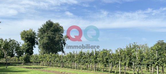 4-salle Maison à Portogruaro, Italy No. 354809 25