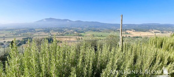 5 bedrooms House in Cetona, Italy No. 53657 29