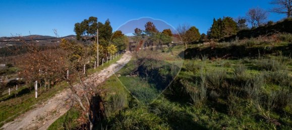 Casa T1 em Soalhães, Portugal N.º 169503 10