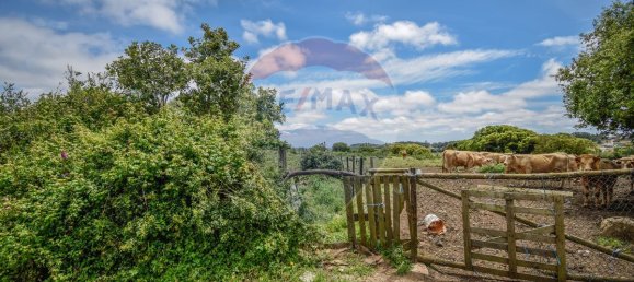 6240m² Land in Sintra, Portugal No. 63736 8