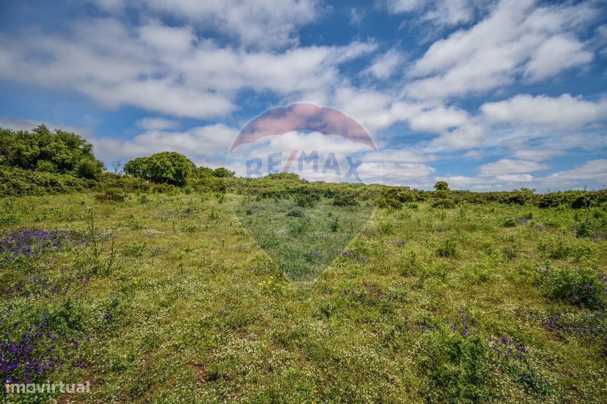6240m² Land in Sintra, Portugal No. 63736