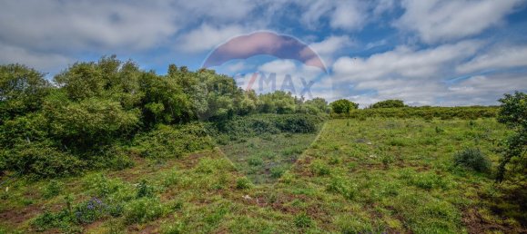 6240m² Land in Sintra, Portugal No. 63736 5