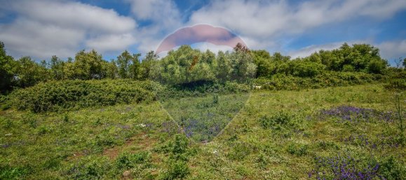 6240m² Land in Sintra, Portugal No. 63736 10