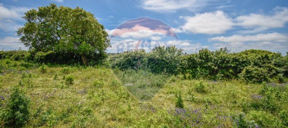 6240m² Land in Sintra, Portugal No. 63736 13