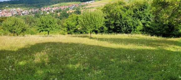 Terreno en Calw, Germany No. 236109 20