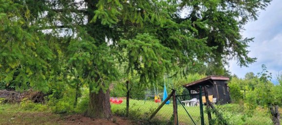 Terreno en Calw, Germany No. 236109 18