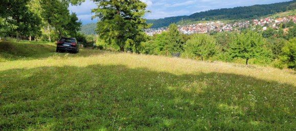 Terreno en Calw, Germany No. 236109 17