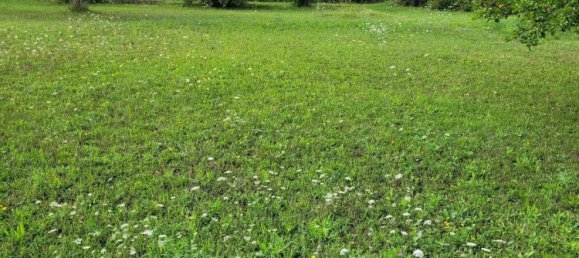 Terreno en Calw, Germany No. 236109 5