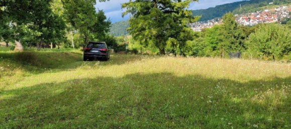 Terreno en Calw, Germany No. 236109 19