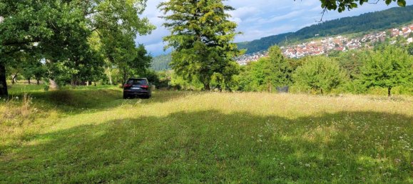 Terreno en Calw, Germany No. 236109 15