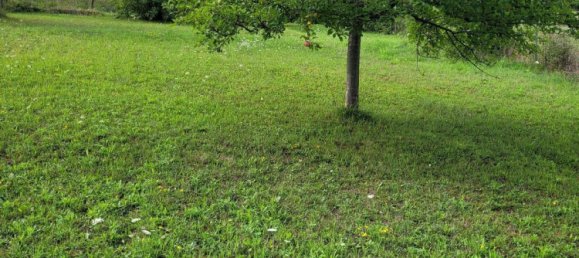 Terreno en Calw, Germany No. 236109 6