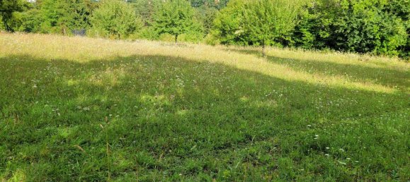 Terreno en Calw, Germany No. 236109 16