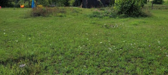 Terreno en Calw, Germany No. 236109 3