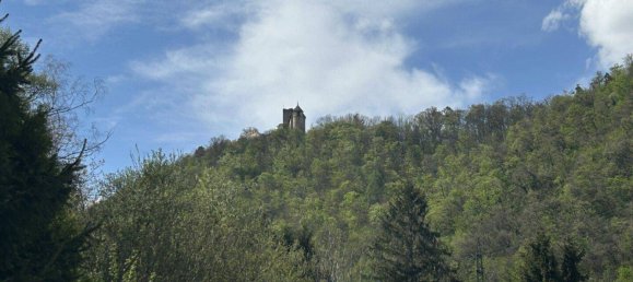  Land in Gosting, Austria No. 152957 5