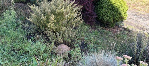 3 chambres Appartement à Frankfurt am Main, Germany No. 323401 4