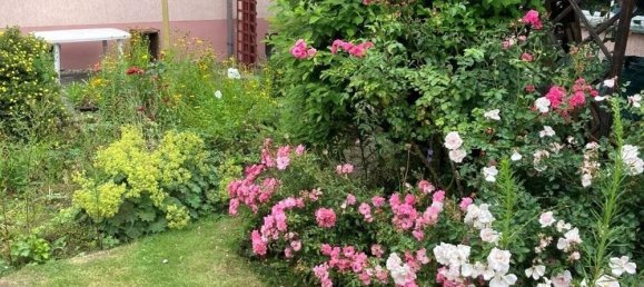 8-Zimmer Stadthaus in Jena, Germany, Nr. 11767 7