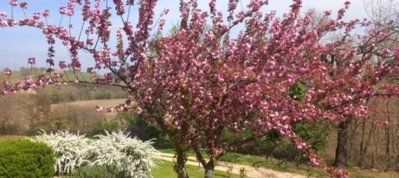 Вилла с 4 спальнями в Риньяно Фламинио, Италия № 91232 4