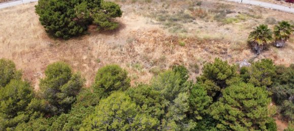 575m² Land in Estepona, Spain No. 133825 15
