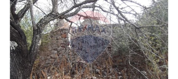 Grundstück in Santa Catarina da Fonte do Bispo, Portugal 14830m², Nr. 163898 5