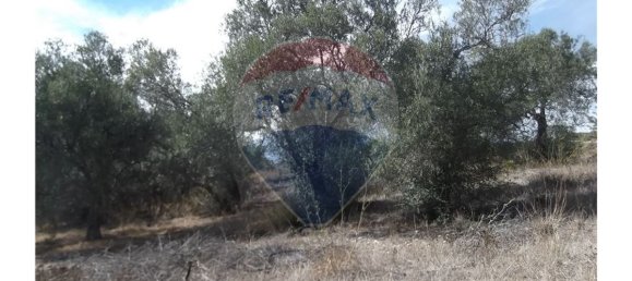 Grundstück in Santa Catarina da Fonte do Bispo, Portugal 14830m², Nr. 163898 10