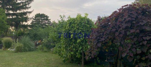 2 rooms House in Neufeld an der Leitha, Austria No. 175893 9