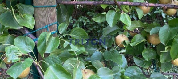 2 rooms House in Neufeld an der Leitha, Austria No. 175893 17