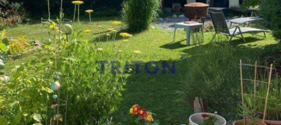 2 rooms House in Neufeld an der Leitha, Austria No. 175893 31