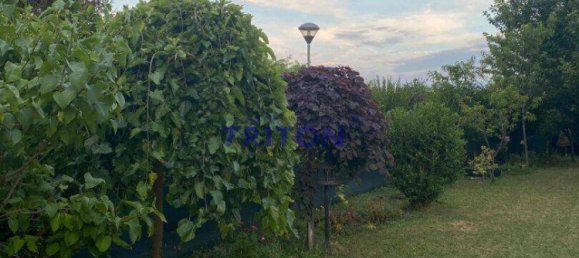 2 rooms House in Neufeld an der Leitha, Austria No. 175893 16