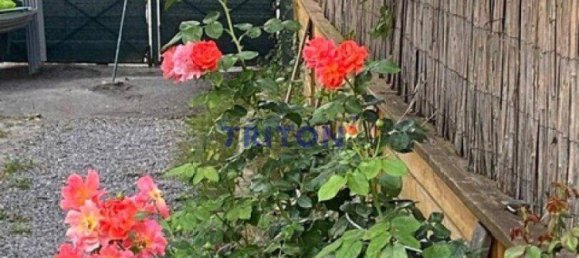 2 rooms House in Neufeld an der Leitha, Austria No. 175893 20