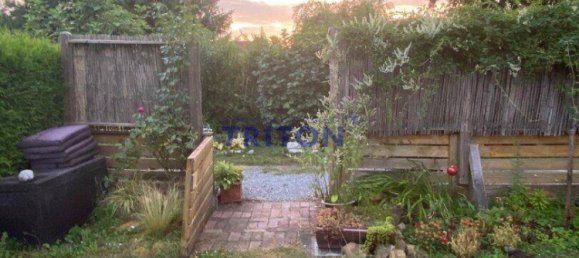 2 rooms House in Neufeld an der Leitha, Austria No. 175893 24