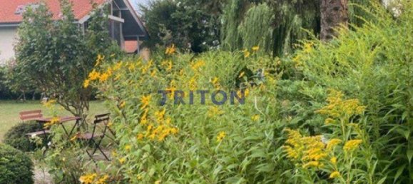 2 rooms House in Neufeld an der Leitha, Austria No. 175893 4