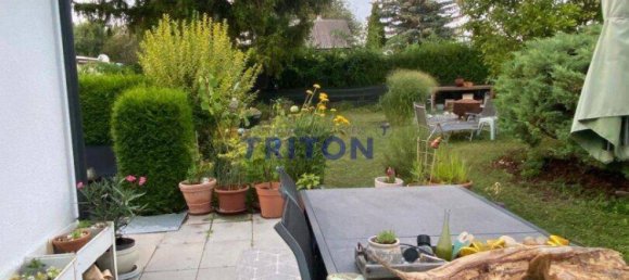 2 rooms House in Neufeld an der Leitha, Austria No. 175893 26