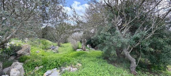 2 rooms Villa in Ceglie Messapica, Italy No. 21262 21