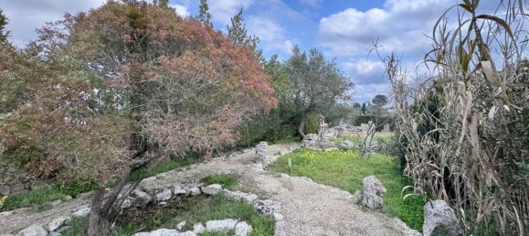 2 rooms Villa in Ceglie Messapica, Italy No. 21262 22