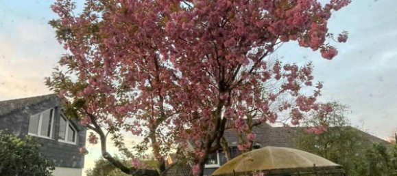 4 bedrooms Townhouse in Markischer, Germany No. 139200 6